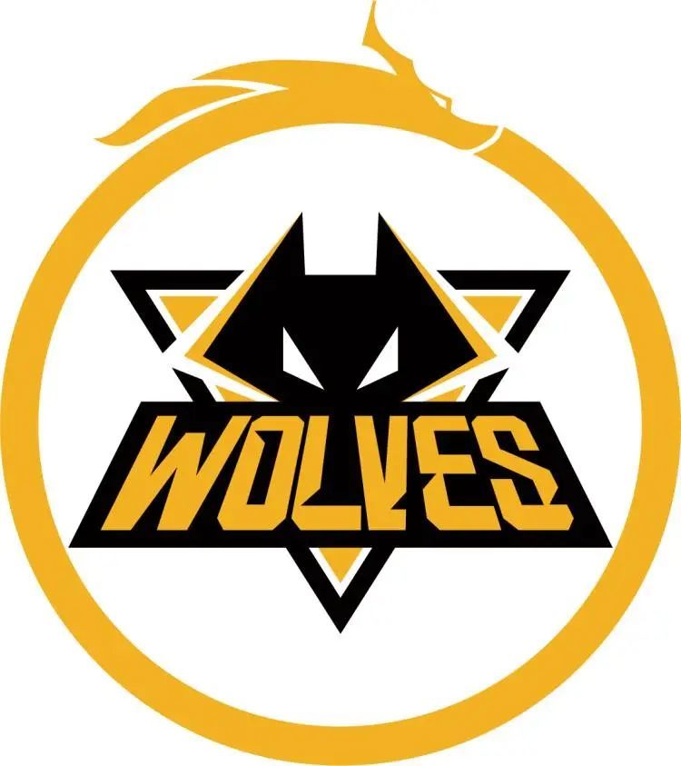 【资讯】北美战队开小号打比赛，遭赛事主办方重罚